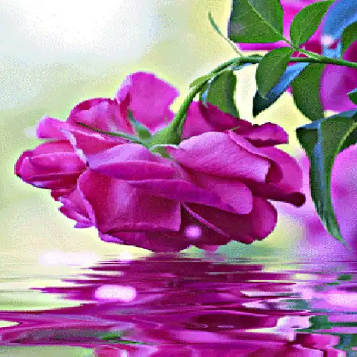 Play Purple Rose Swining LWP APK