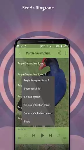 Play Purple Swamphen Sounds as an online game Purple Swamphen Sounds with UptoPlay