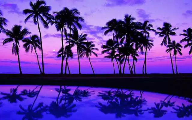 Play Purple Trees Live Wallpaper