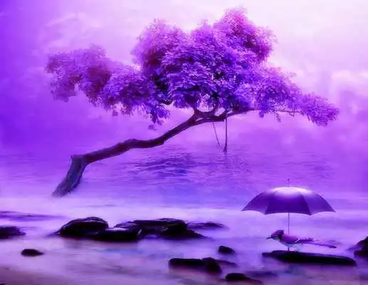 Play Purple Trees Live Wallpaper