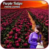 Free play online Purple Tulips Photo Editor APK