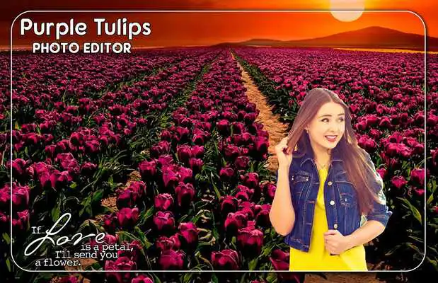 Play Purple Tulips Photo Editor