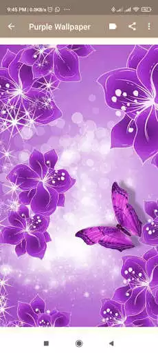 Play Purple Wallpaper HD as an online game Purple Wallpaper HD with UptoPlay