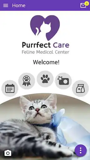 Play Purrfect Care Vet  and enjoy Purrfect Care Vet with UptoPlay