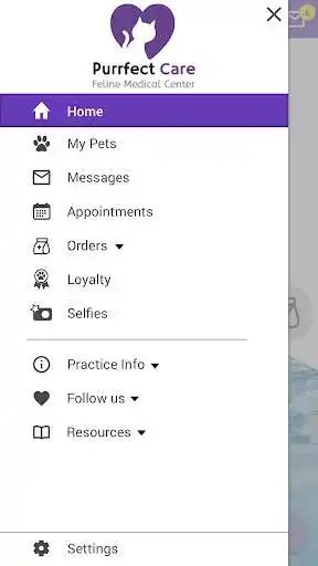 Play Purrfect Care Vet as an online game Purrfect Care Vet with UptoPlay