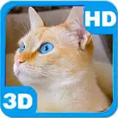 Free play online Purring Cute Domestic Cat APK