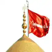 Free play online Pursa Drive APK