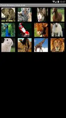 Play Puzzle Animal For Children Play Puzzle Animal For Children