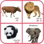 Free play online Puzzle Animal APK