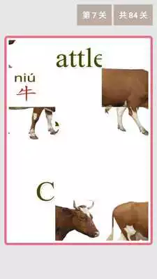 Play Puzzle Animal Play Puzzle Animal