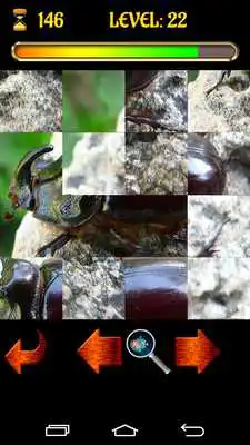 Play Puzzle Bugs
