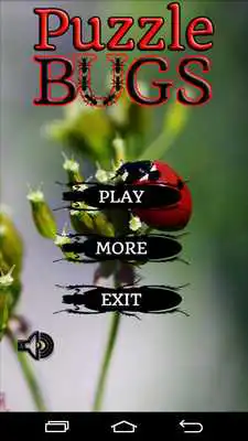 Play Puzzle Bugs