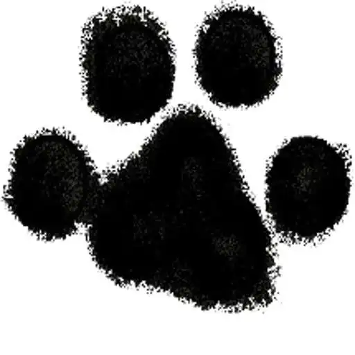 Free play online Puzzle - Cats APK Free play online Puzzle - Cats APK