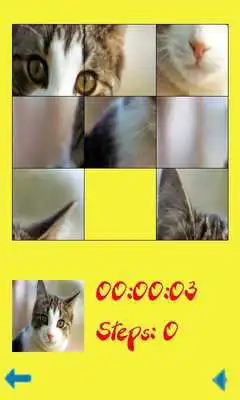 Play Puzzle - Cats