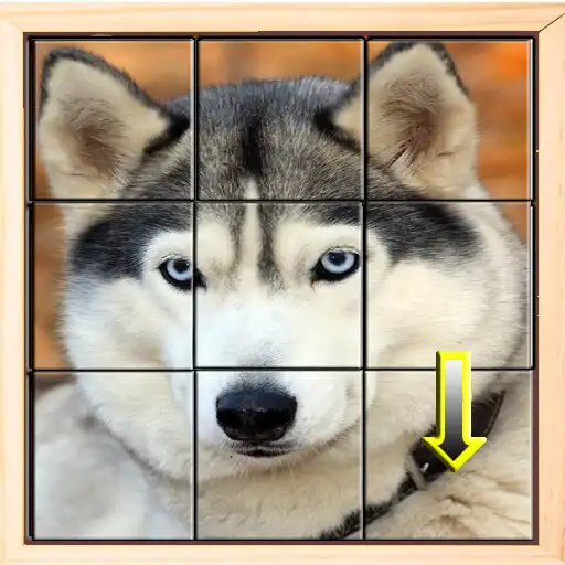 Play Puzzle Challenge: Brain Teaser APK