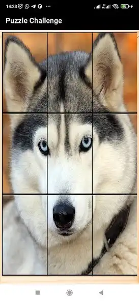 Play Puzzle Challenge: Brain Teaser as an online game Puzzle Challenge: Brain Teaser with UptoPlay