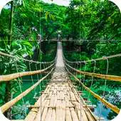 Free play online puzzle - forest nature APK