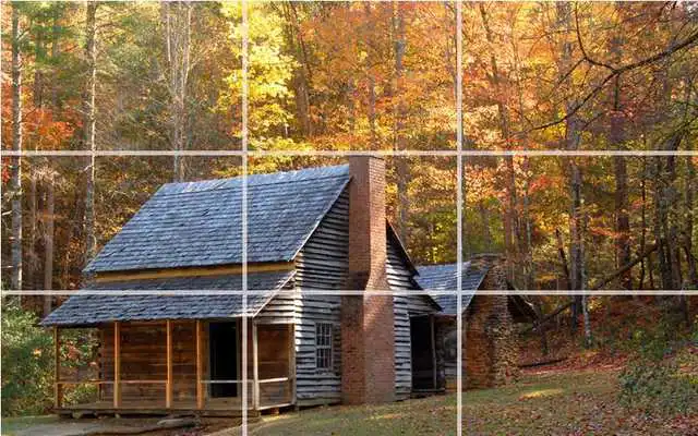 Play puzzle - forest nature