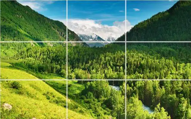 Play puzzle - forest nature