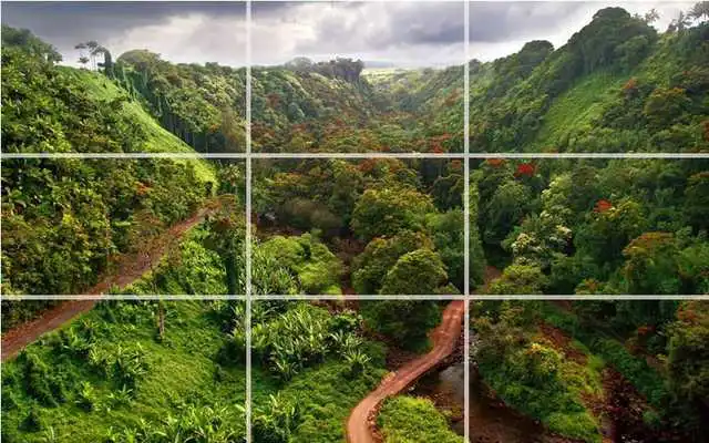 Play puzzle - forest nature