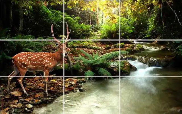 Play puzzle - forest nature