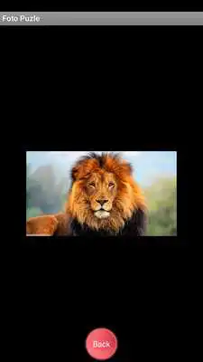 Play Puzzle Jigsaw: Your Photos