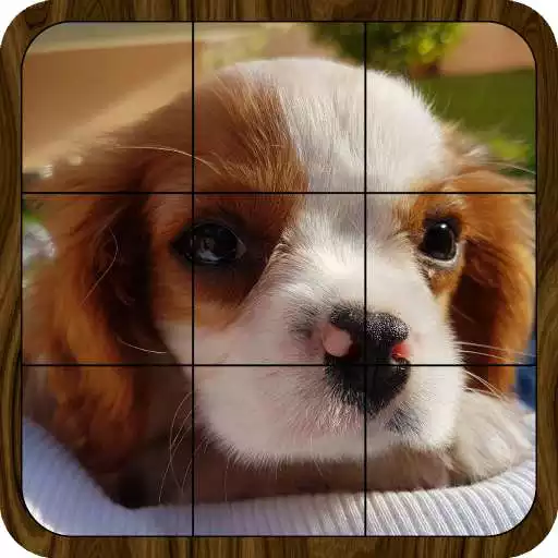 Play Puzzle: Landscapes, Pets & Animals, Flowers & More APK Play Puzzle: Landscapes, Pets & Animals, Flowers & More APK