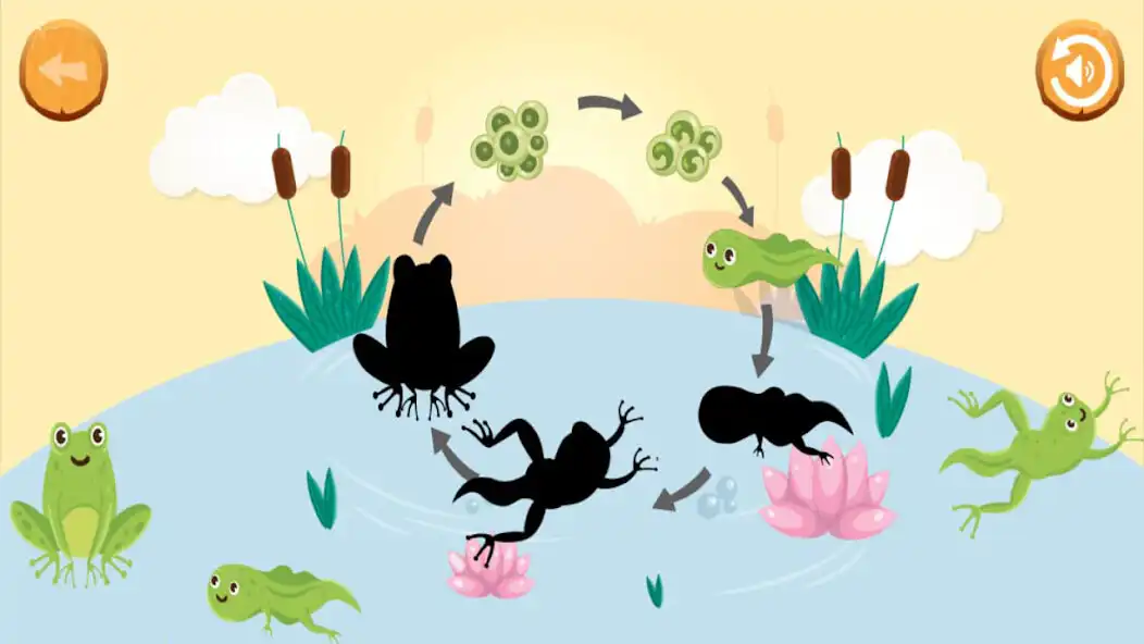 Play Puzzle Meta Katak as an online game Puzzle Meta Katak with UptoPlay