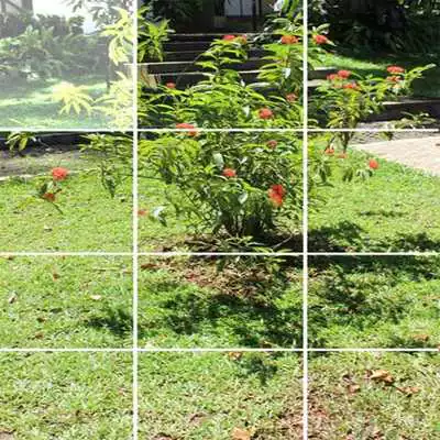 Play Puzzle My