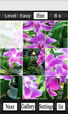 Play Puzzle My