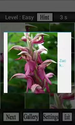 Play Puzzle My