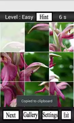 Play Puzzle My