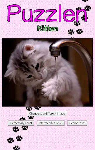 Play Puzzlen : Kitten  and enjoy Puzzlen : Kitten with UptoPlay