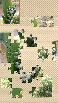 Play Puzzler Demo
