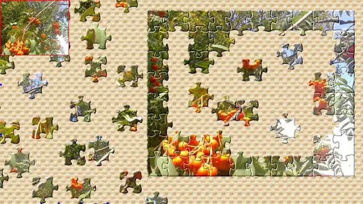 Play Puzzler Demo