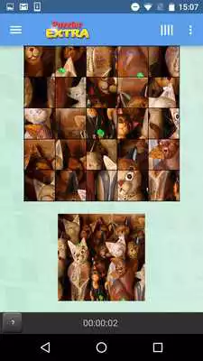 Play Puzzler Extra