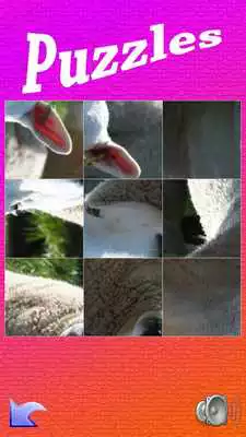 Play Puzzle