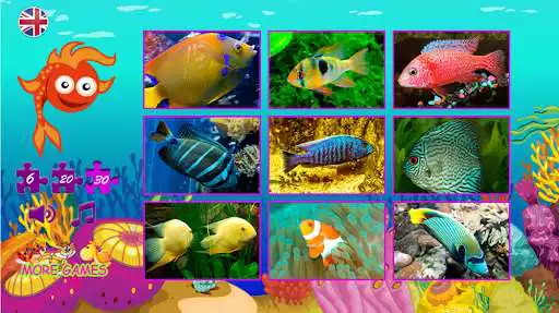 Play Puzzles fish as an online game Puzzles fish with UptoPlay