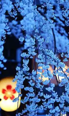 Play Puzzles Flower Sakura