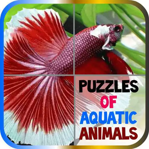 Play Puzzles of Aquatic Animals APK