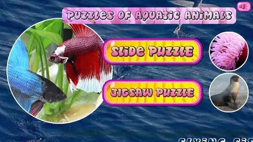 Play Puzzles of Aquatic Animals  and enjoy Puzzles of Aquatic Animals with UptoPlay