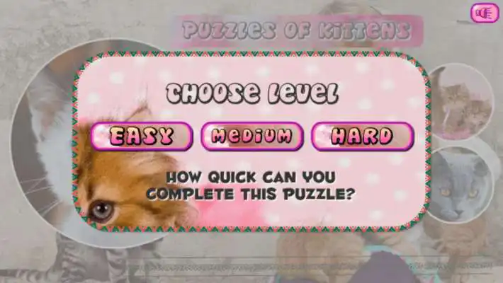 Play Puzzles of Kittens Free
