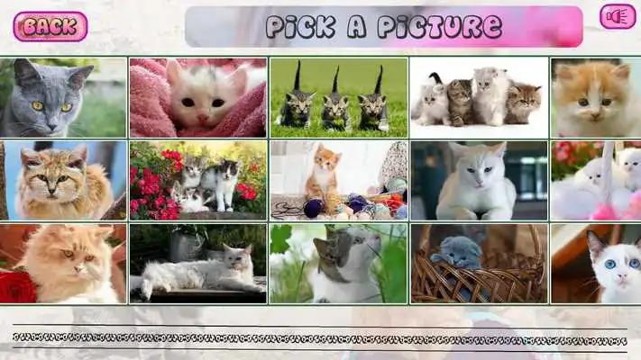 Play Puzzles of Kittens Free