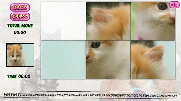 Play Puzzles of Kittens Free