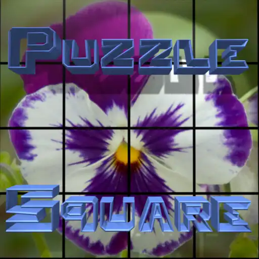 Free play online PuzzleSquare - Pack 1 APK