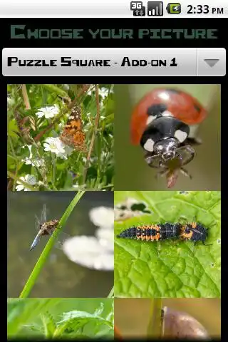 Play PuzzleSquare - Pack 1  and enjoy PuzzleSquare - Pack 1 with UptoPlay