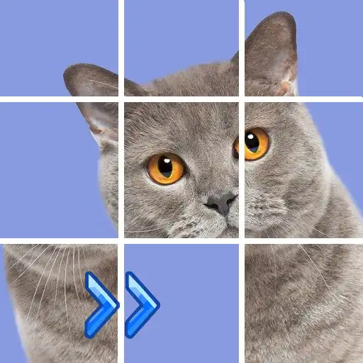 Play Puzzles slide. Jigsaw block APK