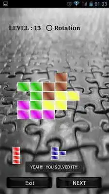 Play Puzzle Trouble