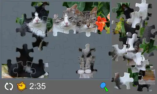 Play Puzzle with Cute Cats  and enjoy Puzzle with Cute Cats with UptoPlay