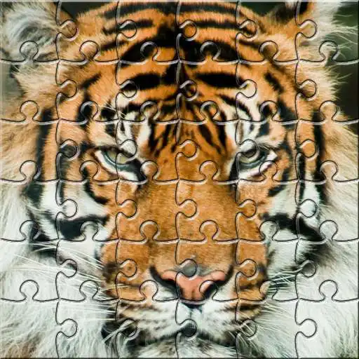 Play Puzzle zoo APK Play Puzzle zoo APK